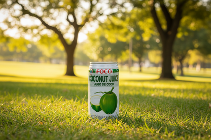 FOCO Coconut Juice Drink 24x350ml